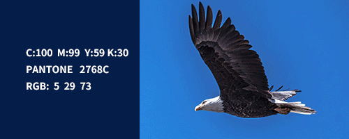 1568007937783754.gif 640 (6).gif